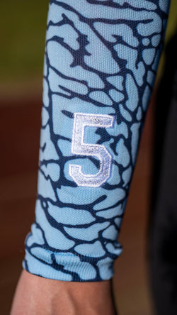 elephant-ice-blue